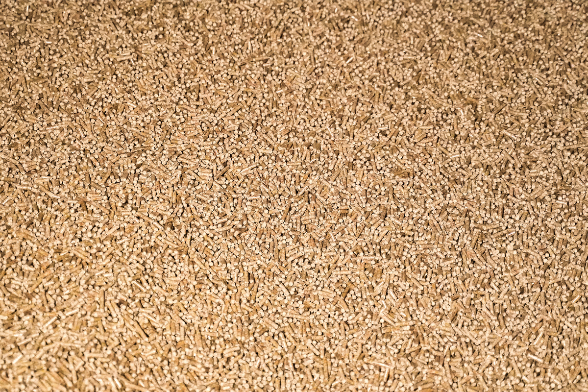 Foto von Pellets für die eigene Pellet Heizung